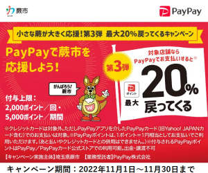 paypay蕨